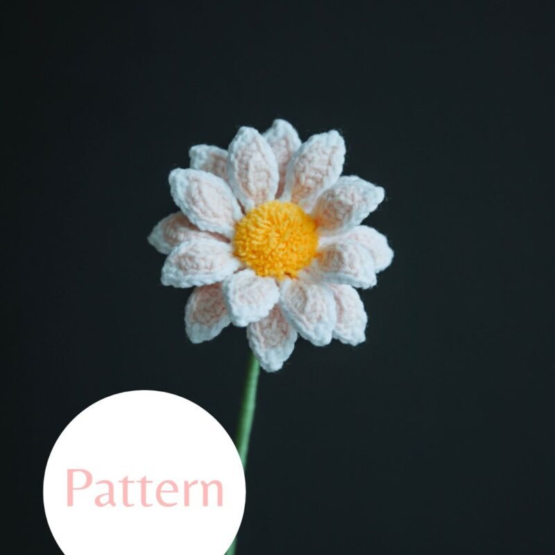 Field Daisy #25